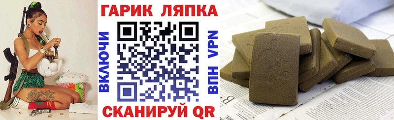 Купить где  Данилов  Гашиш Изолятор 