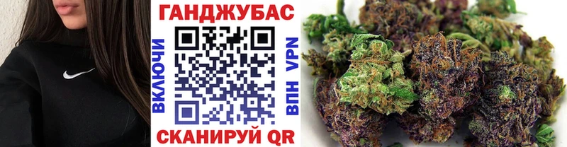 Конопля сатива  Купить  Данилов 